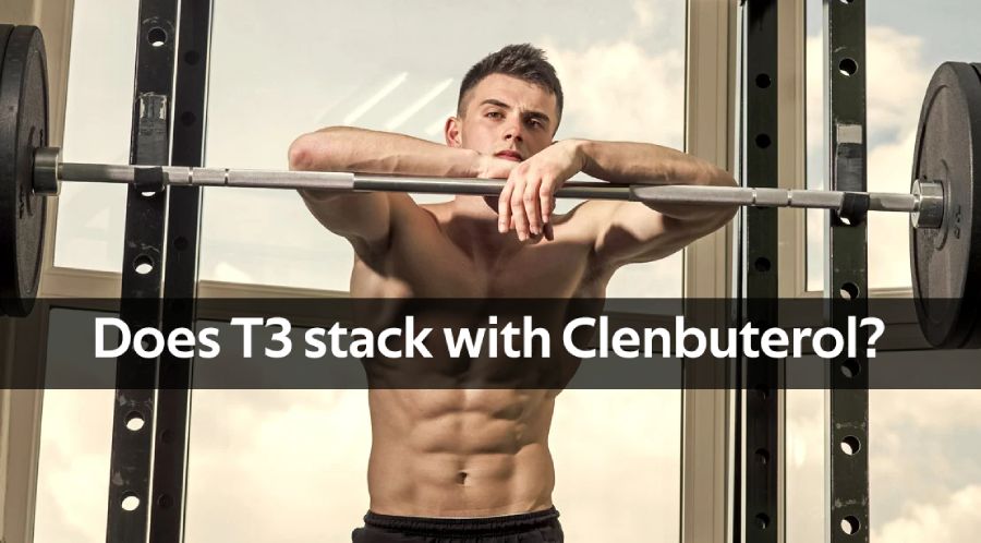 clenbuterol t3 stack